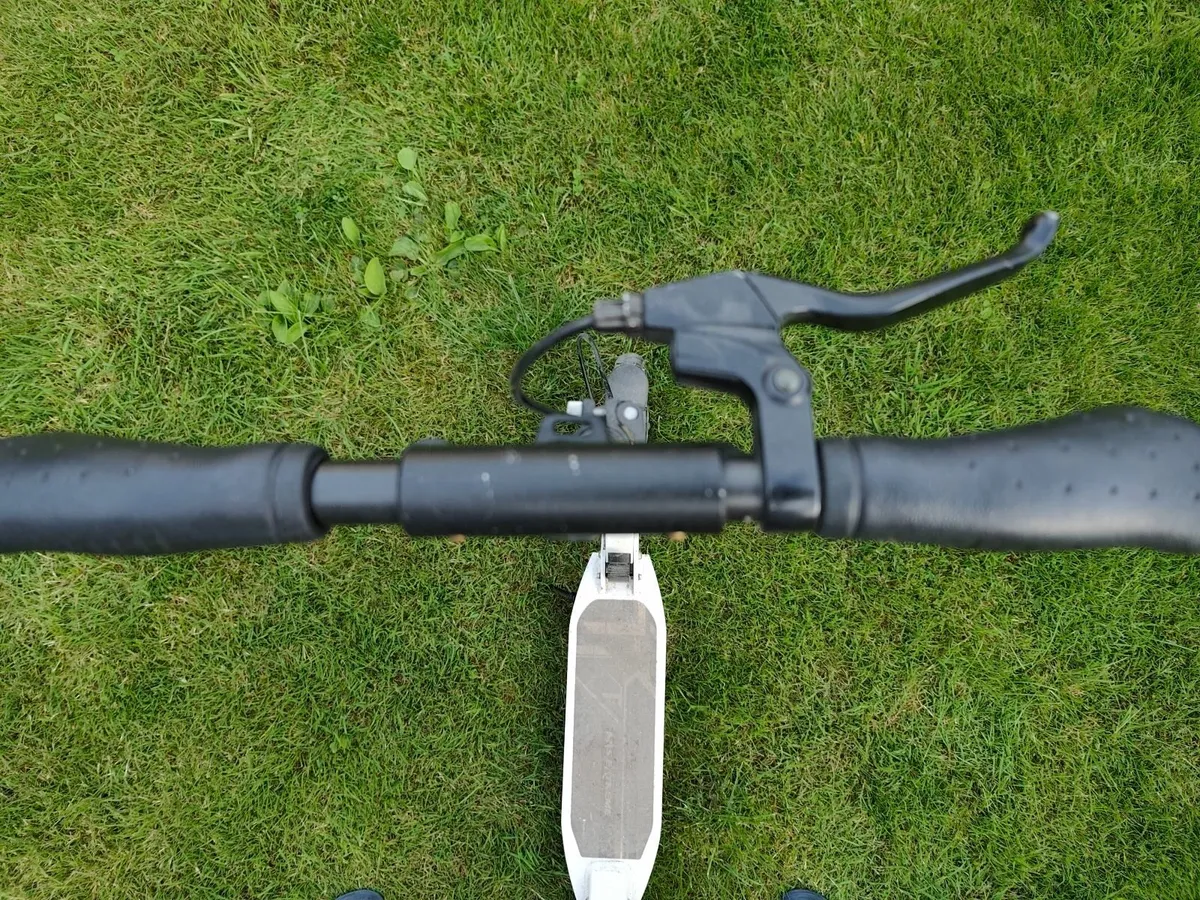 Scooter - Image 4