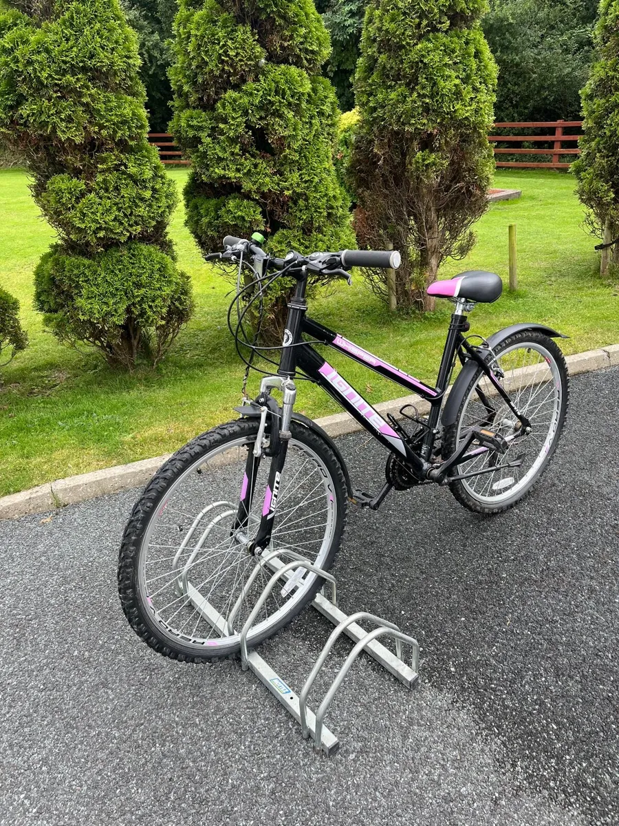 Mountain bike - Image 1