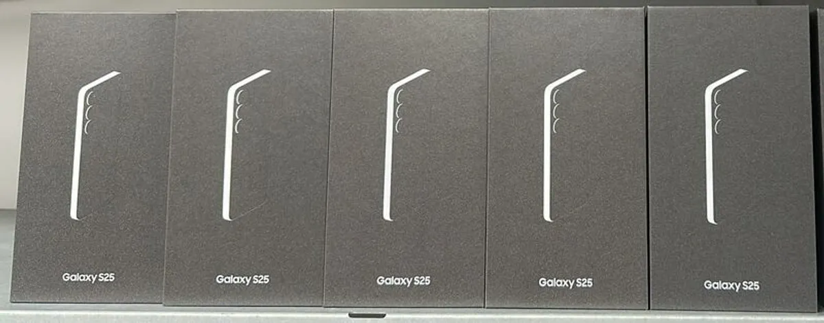 Samsung Galaxy S25