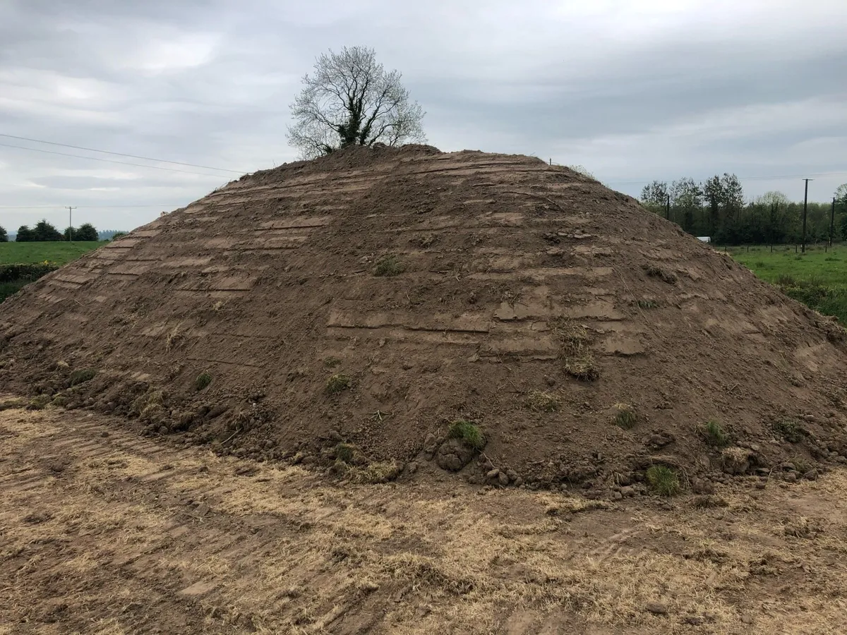 Top Soil - Image 2