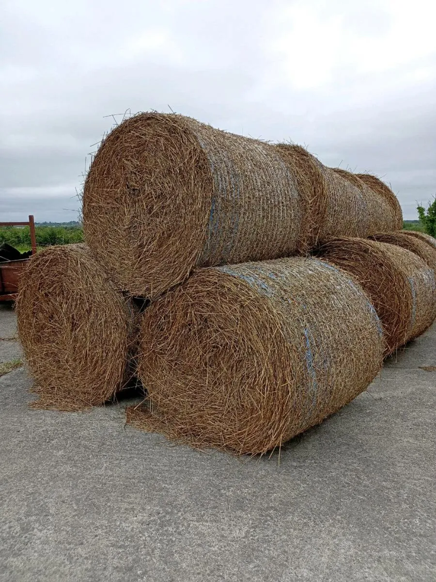 Bales of rushes - Image 1