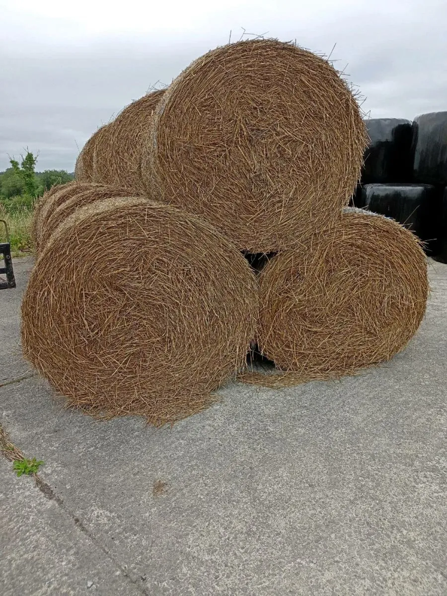 Bales of rushes - Image 2