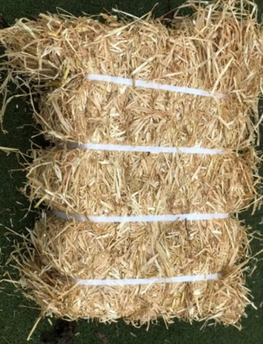Straw 8x4x4