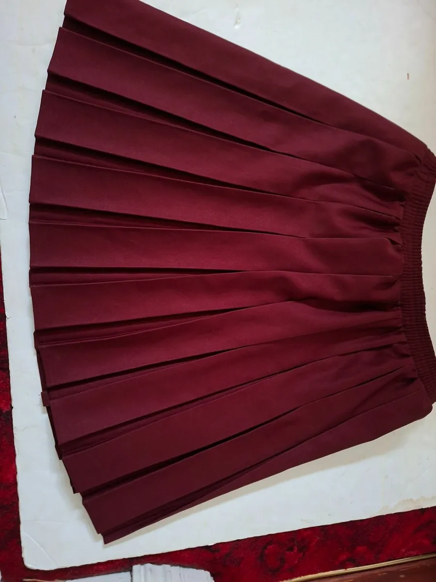 Wine School Skirt - Image 1