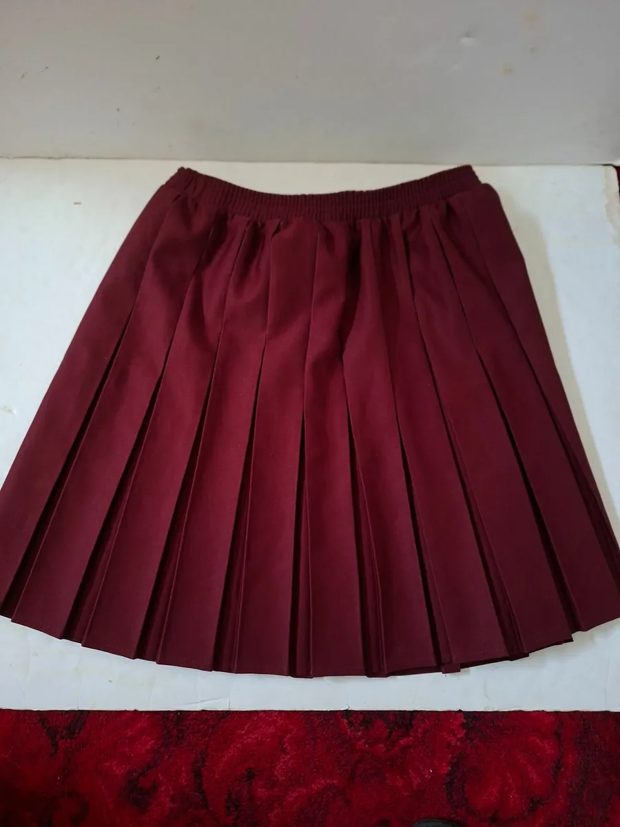 Wine School Skirt - Image 2