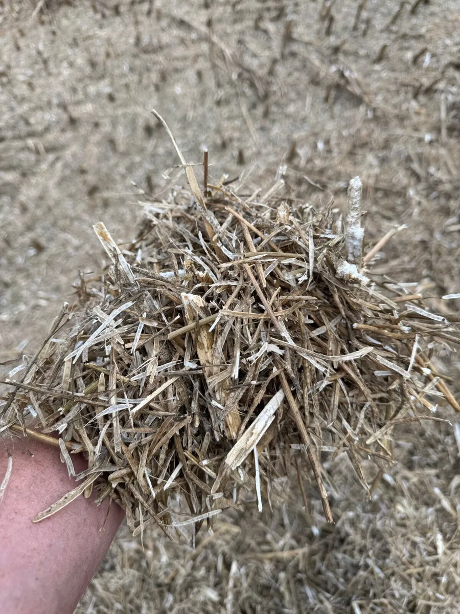 STRAW (osr 4x4) - Image 3