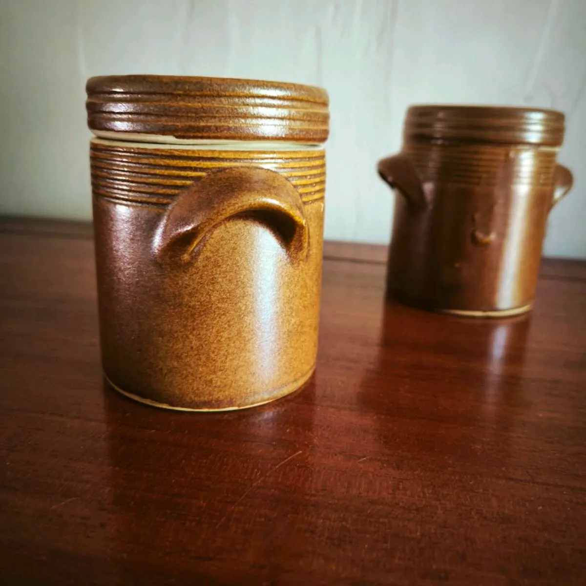Duo of rustic French earthenware canisters/jars - Image 4