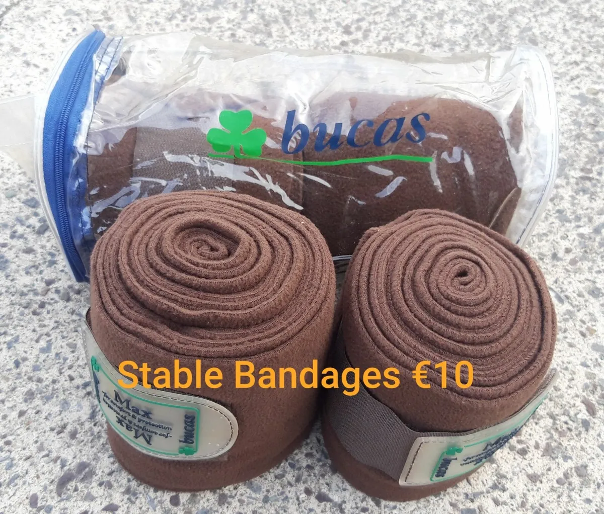 EQUINE - Image 2