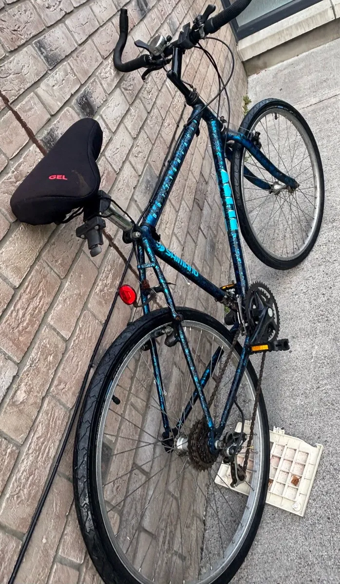 Men’s 21 inch bike working perfectly - Image 2