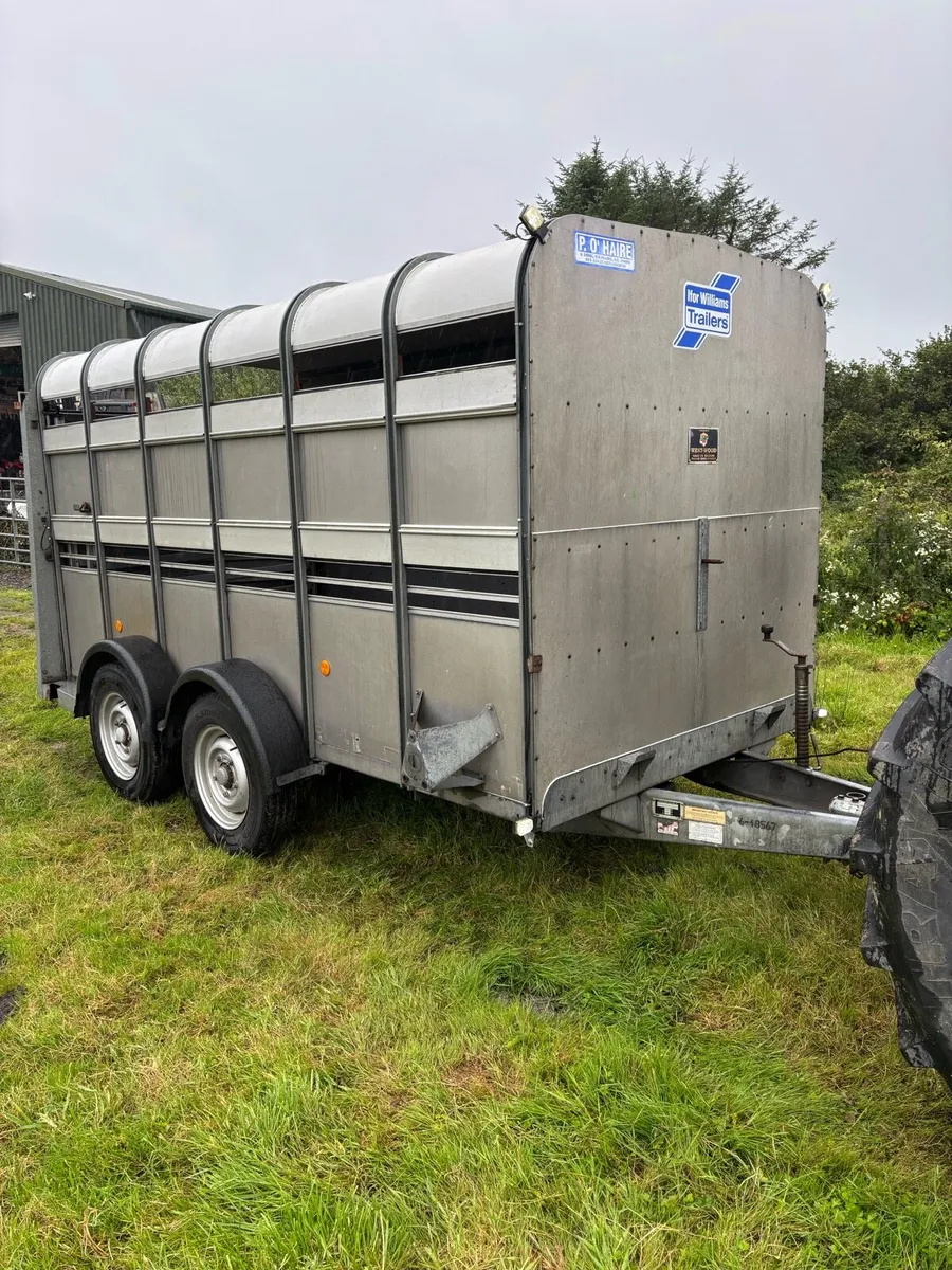 Ifor williams 12x6 cattle box - Image 1