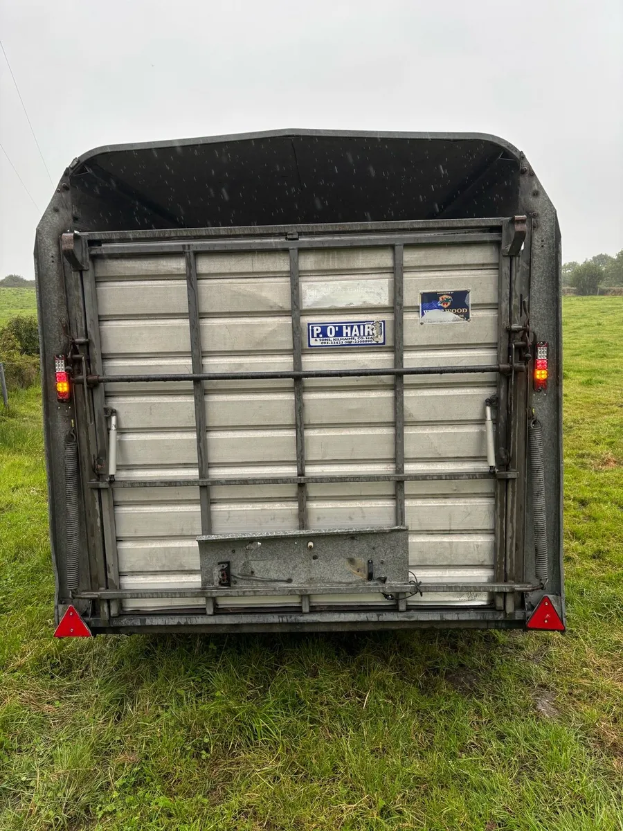 Ifor williams 12x6 cattle box - Image 3