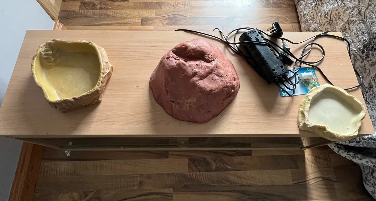 Bearded Dragon Vivarium - Image 1