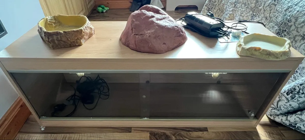 Bearded Dragon Vivarium - Image 2