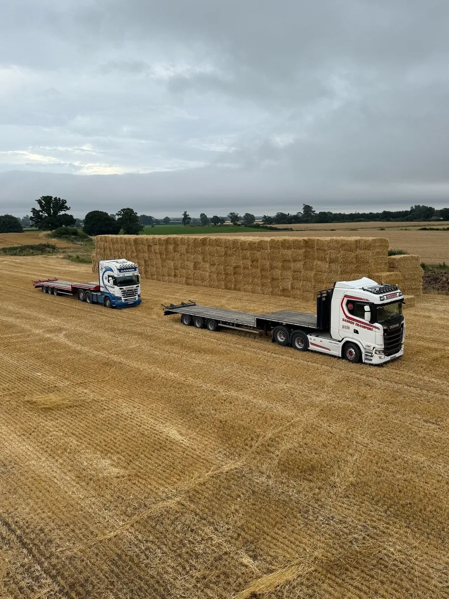 Hay & straw - Image 1