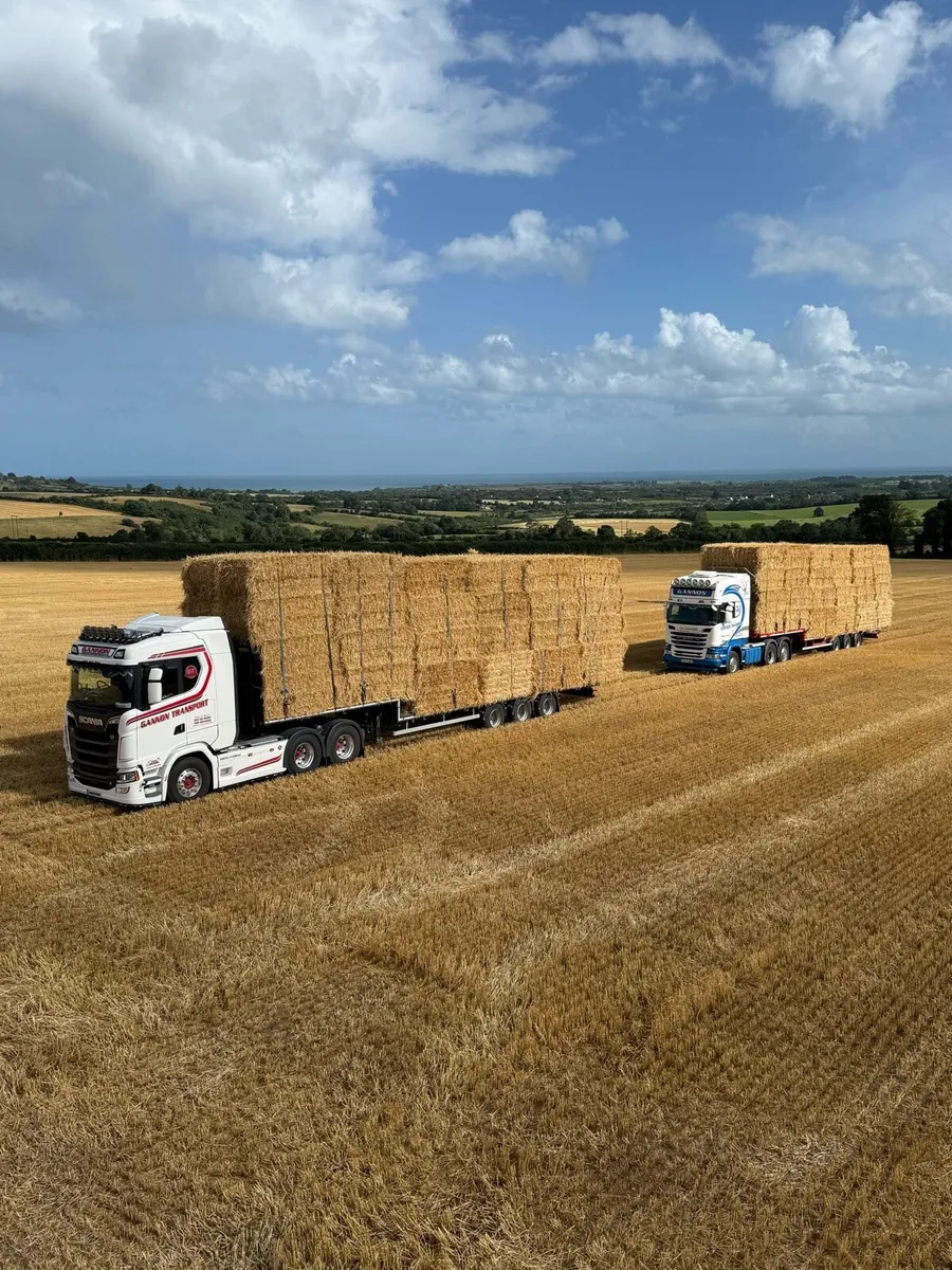 Hay & straw - Image 3
