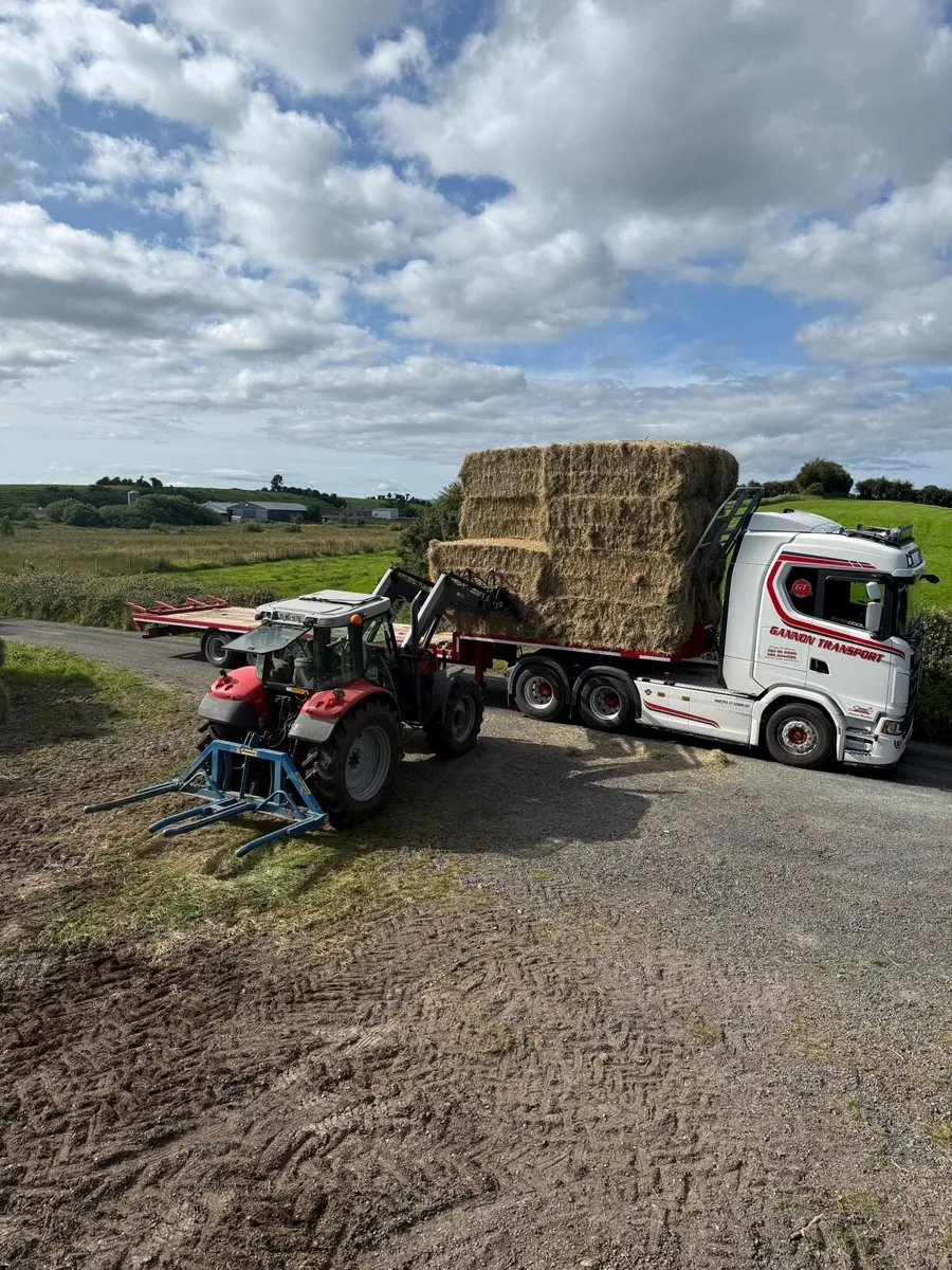 Hay & straw - Image 4