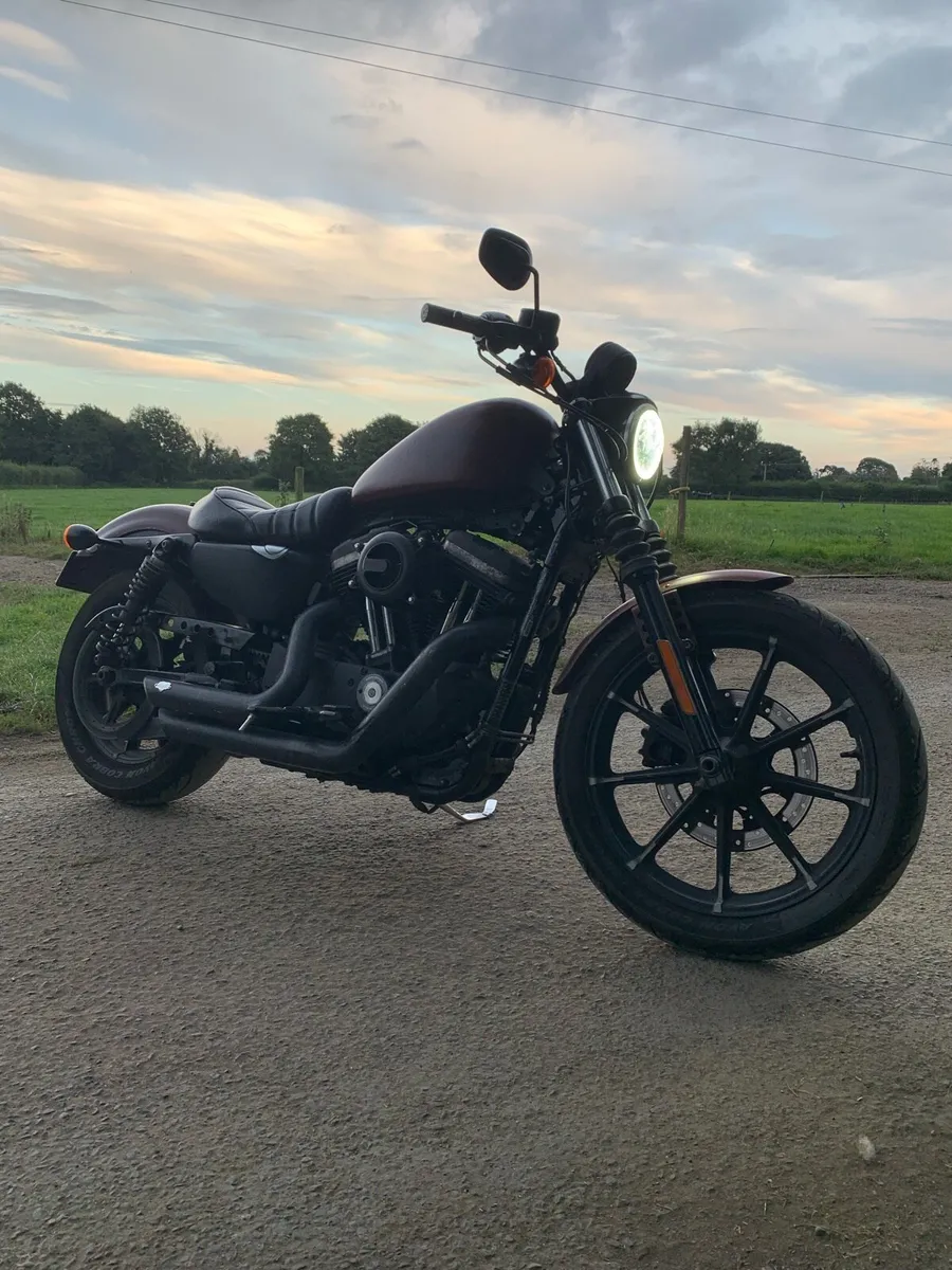 Harley Davidson - Image 1