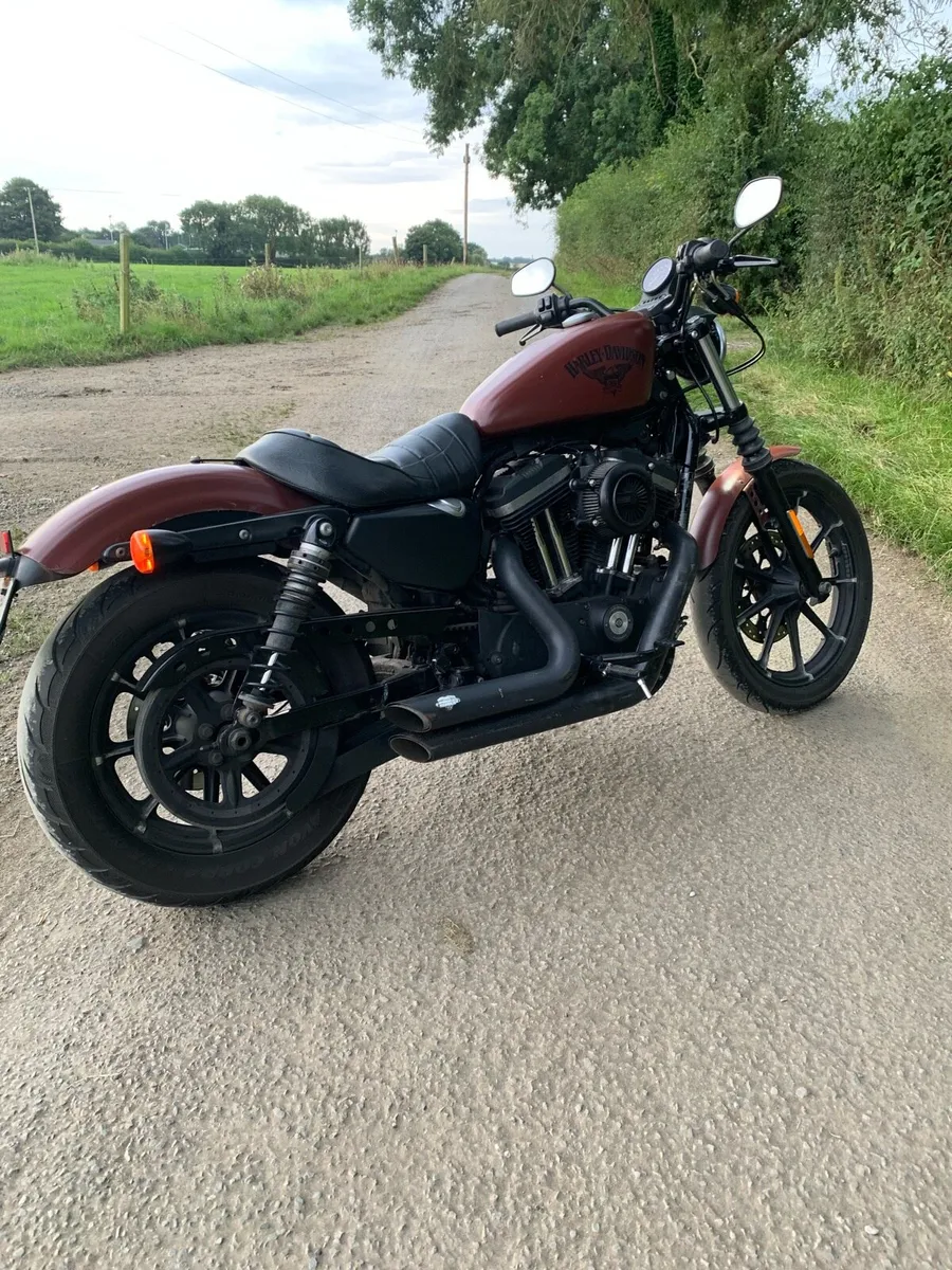 Harley Davidson - Image 3