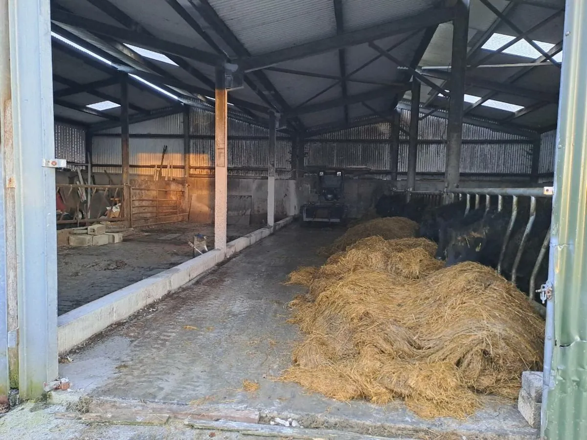 Winter Accommodation (Slatted Shed) - Image 2