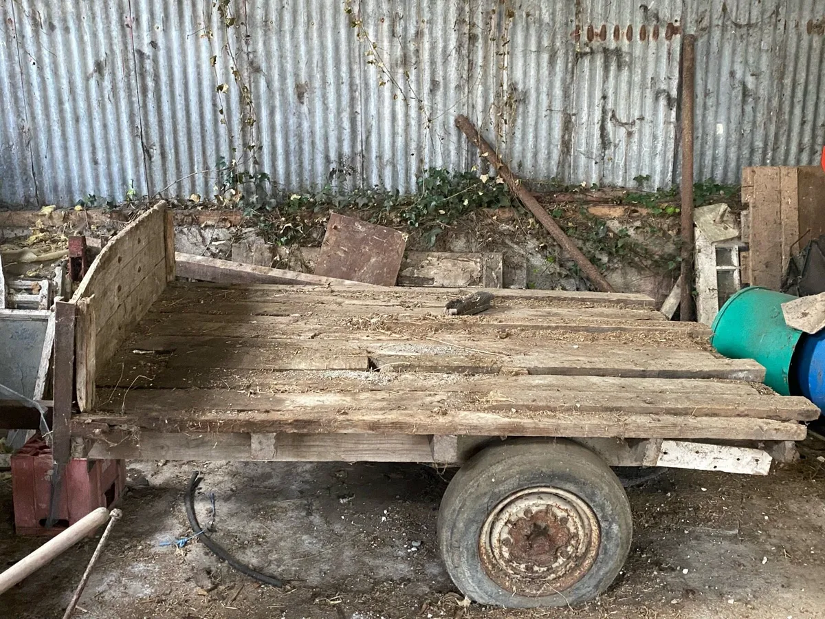 Maragon Mower, Bale Spike, Flat trailer and Diesel - Image 2