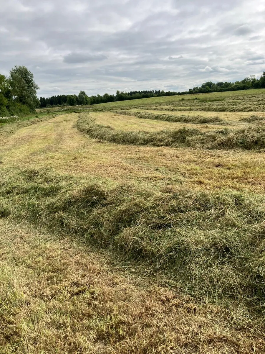 Silage bales for sale