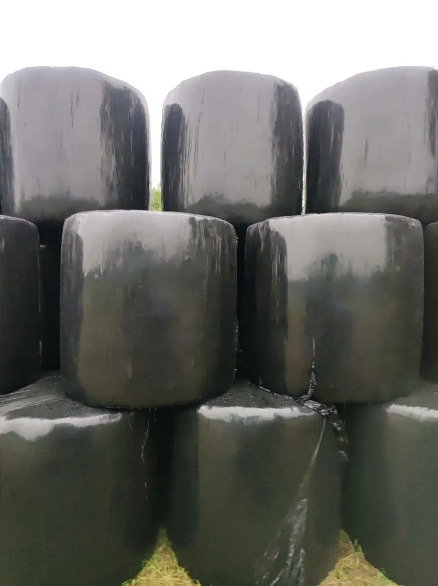 81 round bales of 1st cut haylage - Image 2