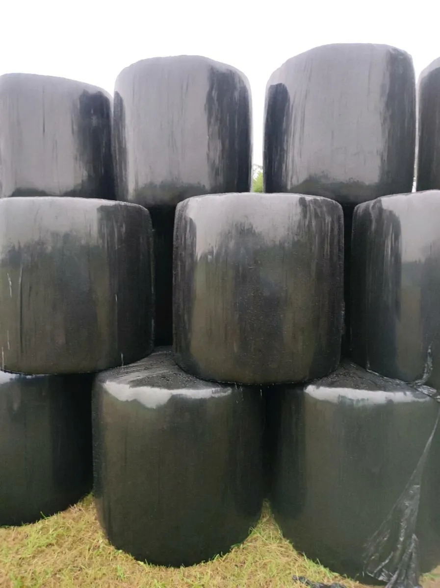 81 round bales of 1st cut haylage - Image 3