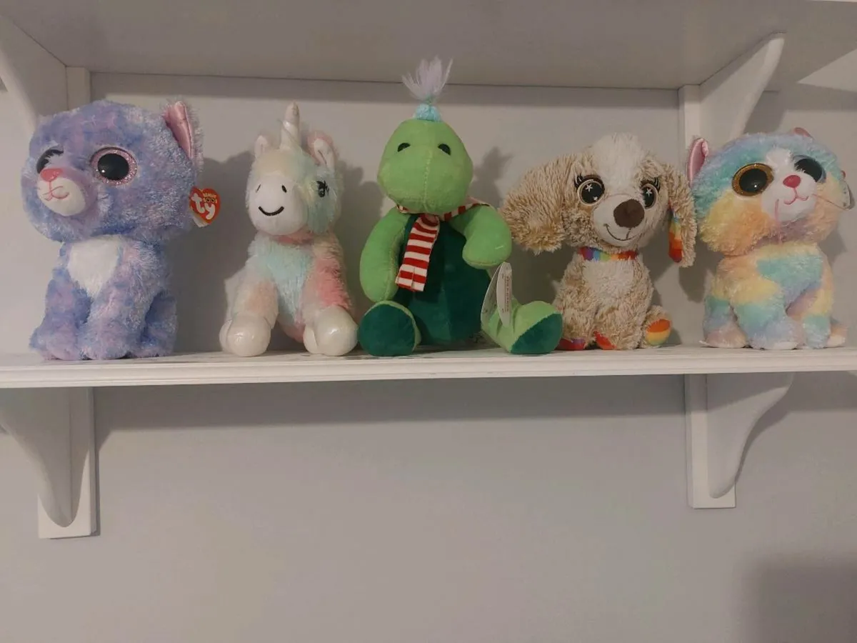 Teddys