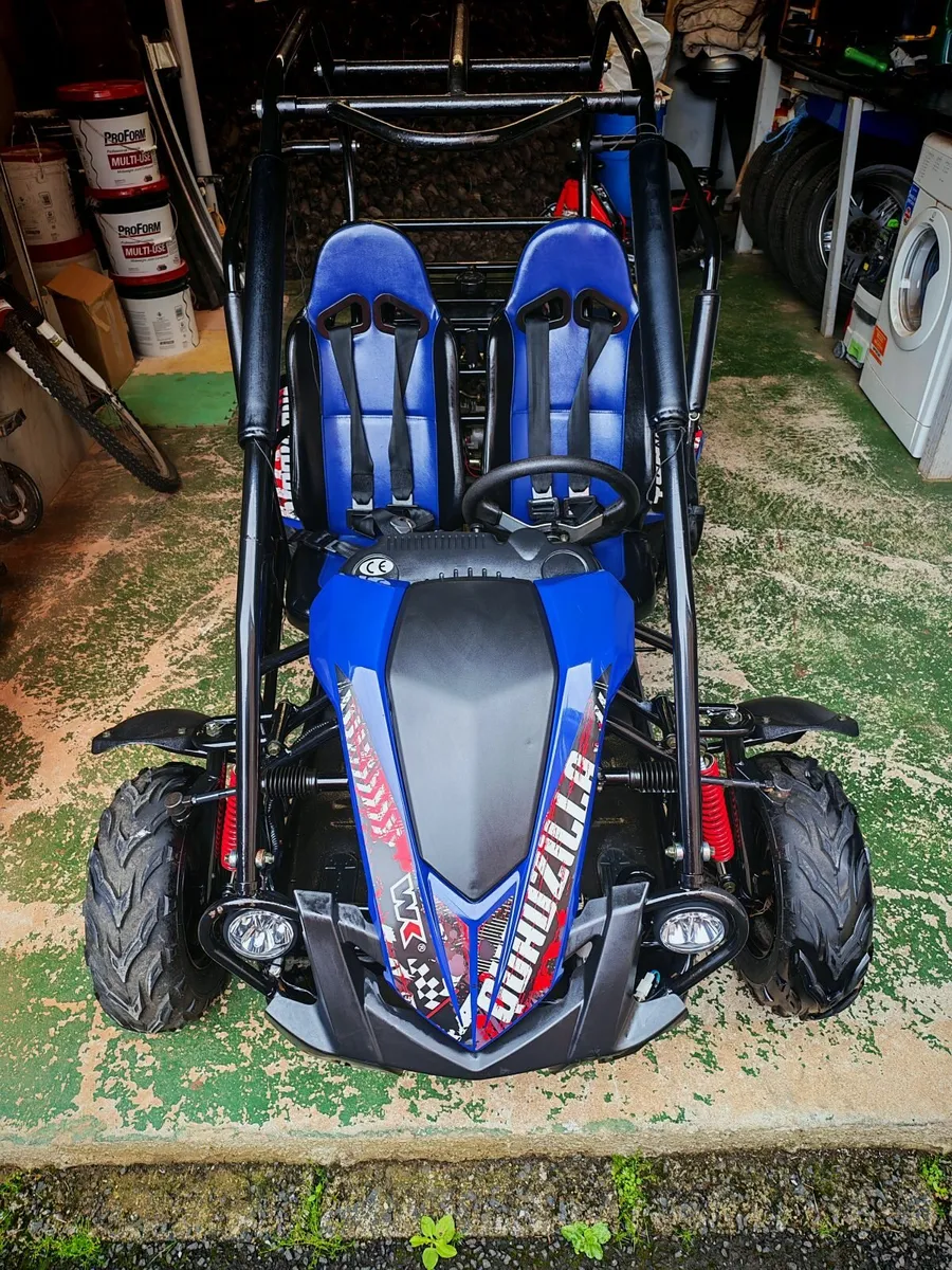 Quadzilla buggy - Image 1
