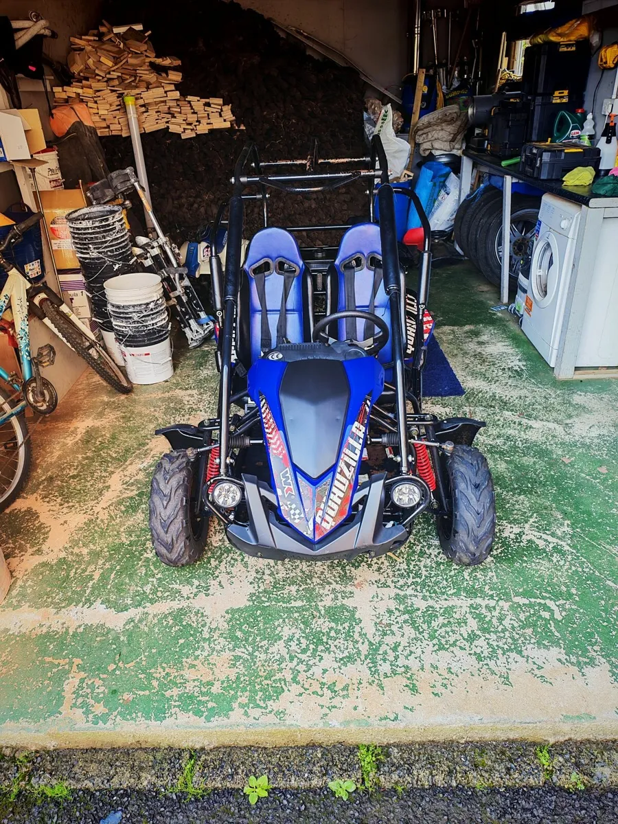 Quadzilla buggy - Image 2