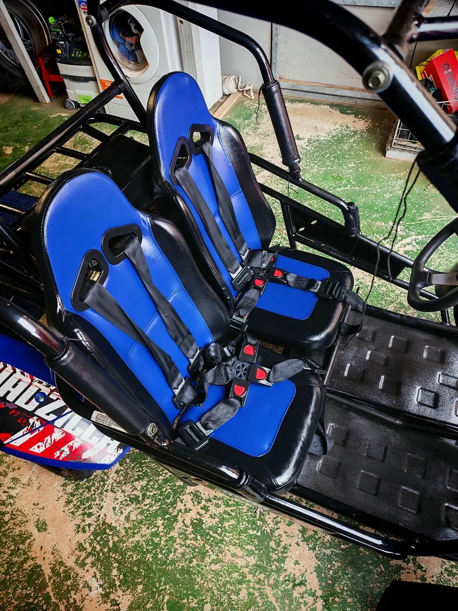 Quadzilla buggy - Image 4