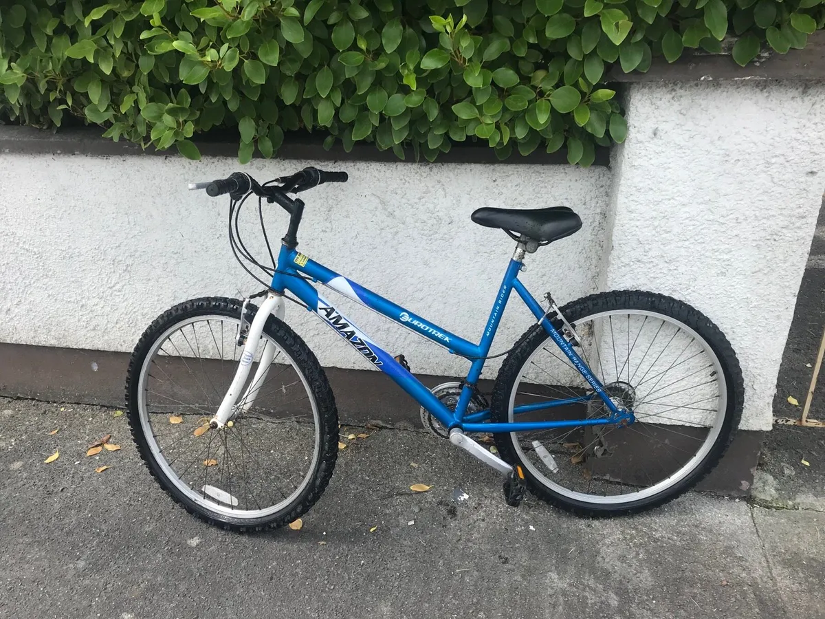 Ladies mountain bike - Image 2