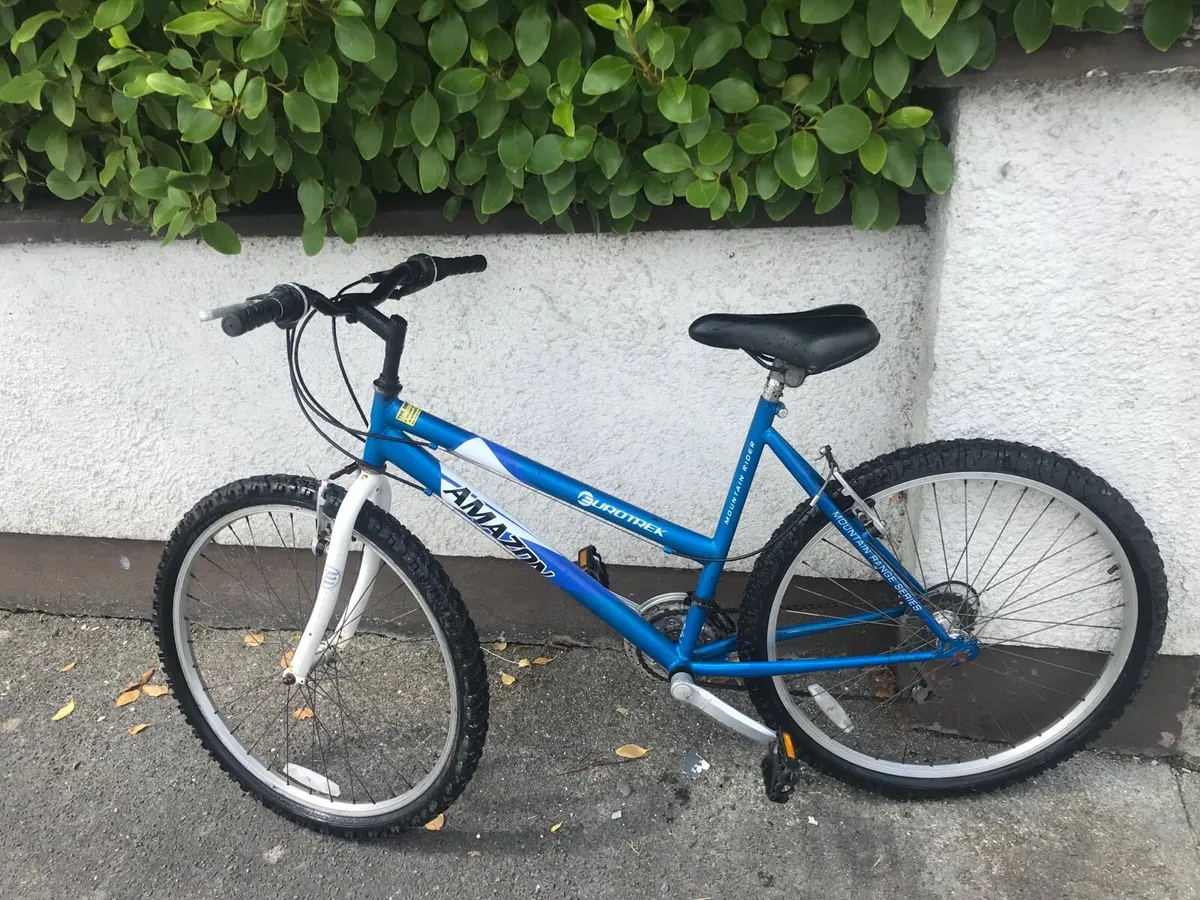 Ladies mountain bike - Image 3