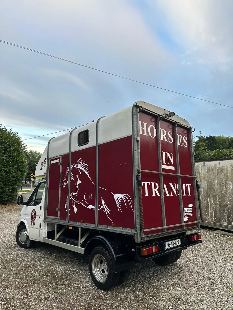Horse box - Image 4