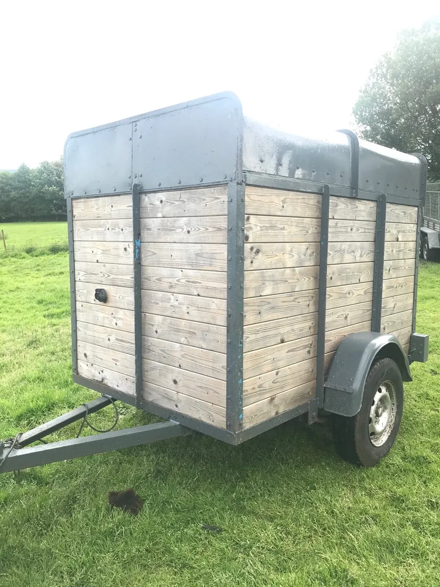 Sheep and calf trailer - Image 2