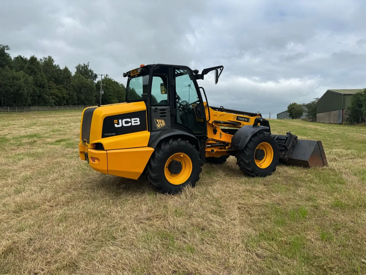 JCB 310 telescopic - Image 2