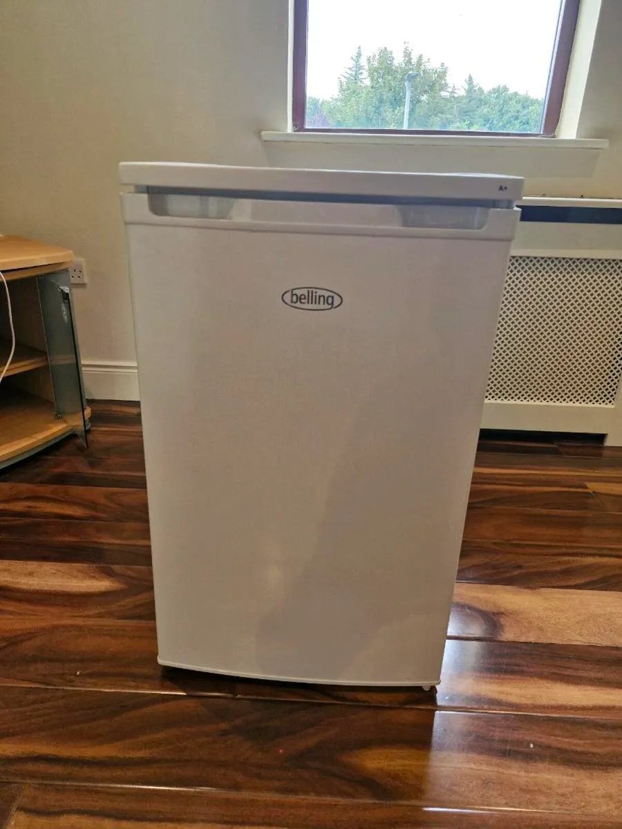 Compact Fridge - Image 1