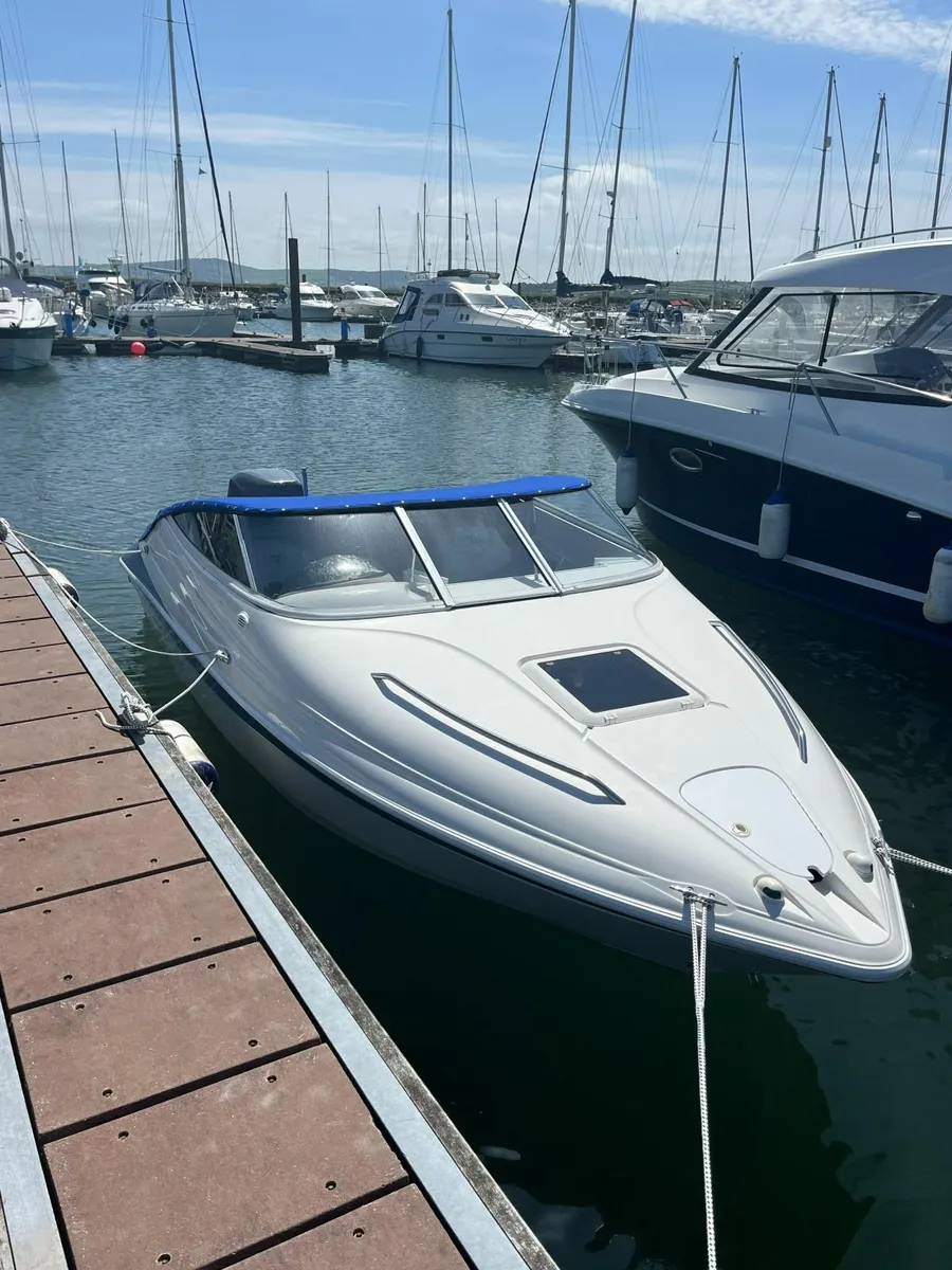 Campion Allante 565 Cuddy with Yamaha 175HP O/B - Image 2