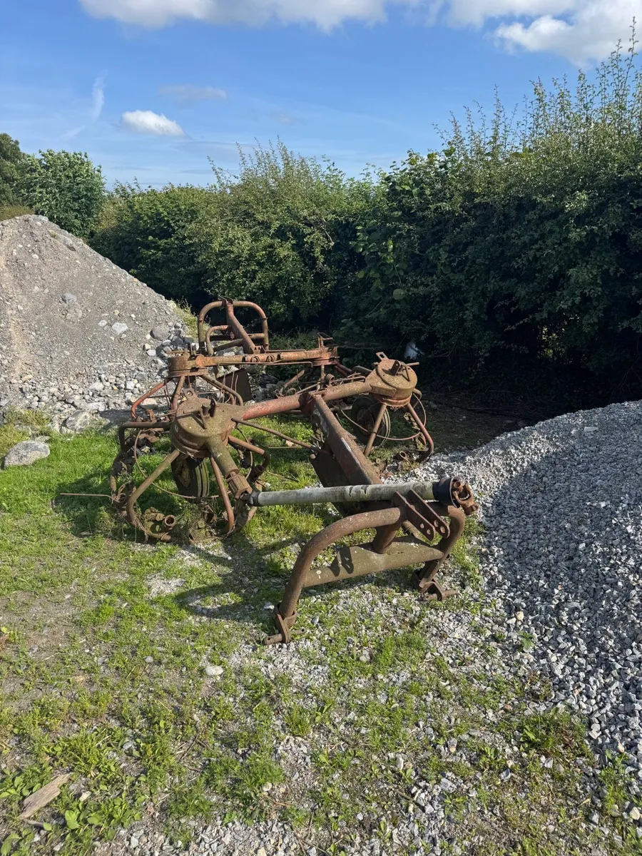 Haybobs - Image 2