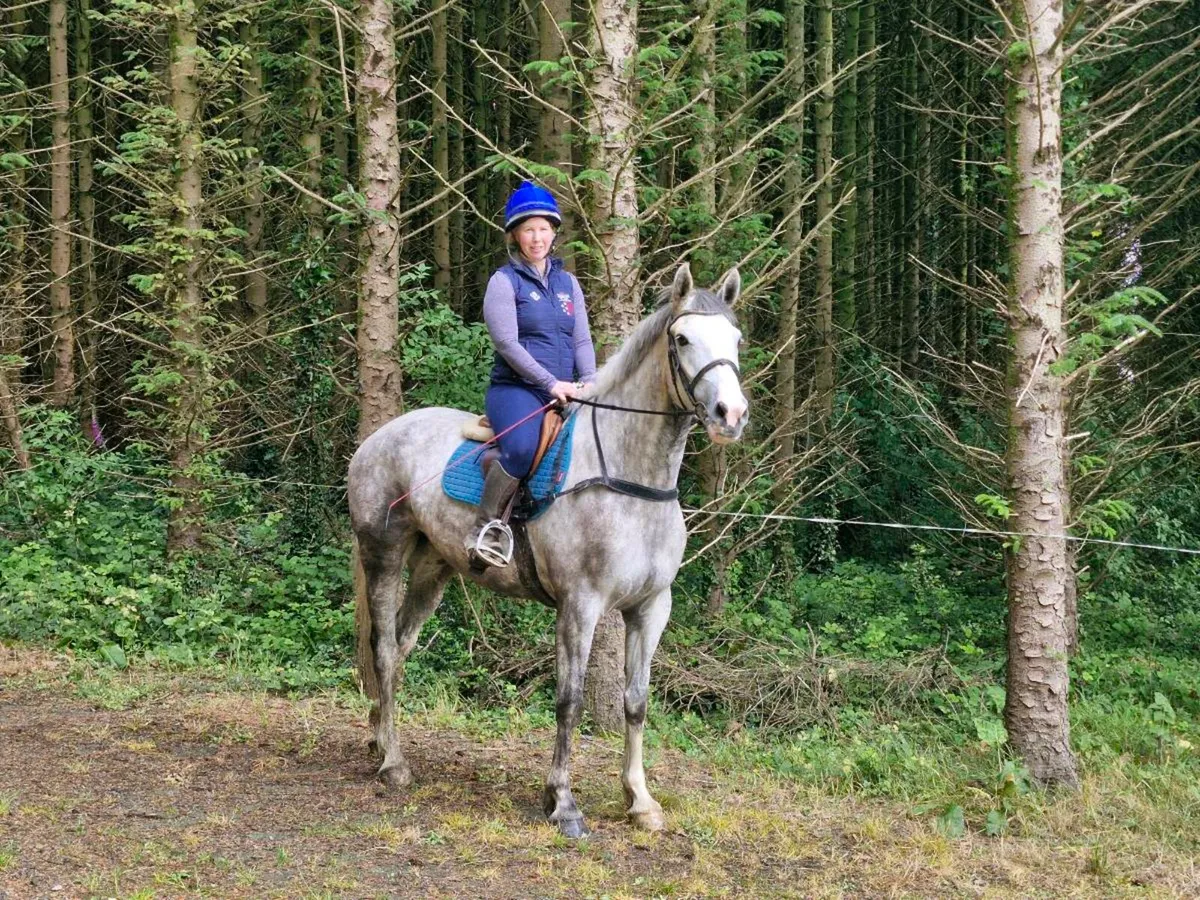 All Rounder/ hunter type - Image 1