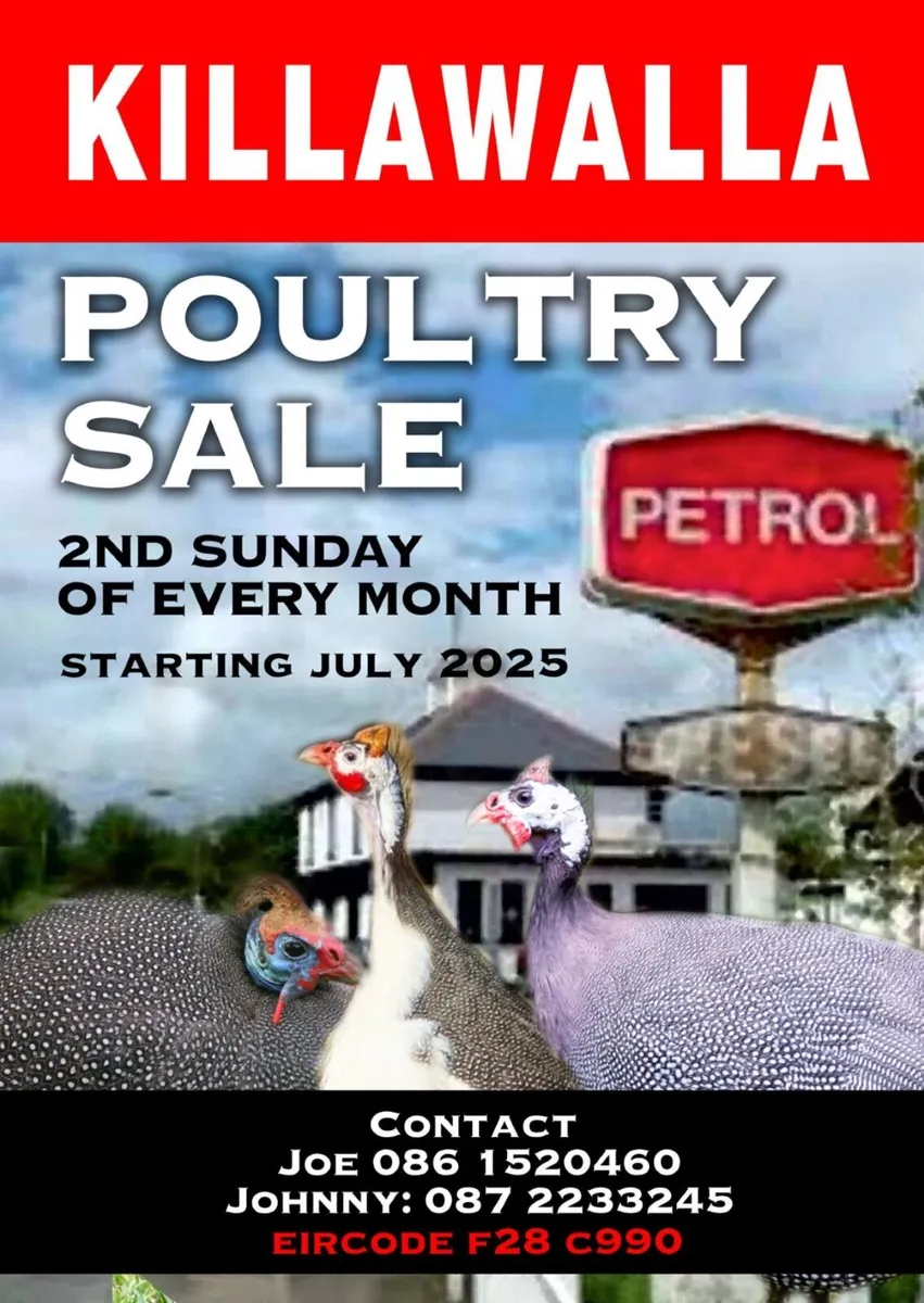 Poultry 9am - 12pm