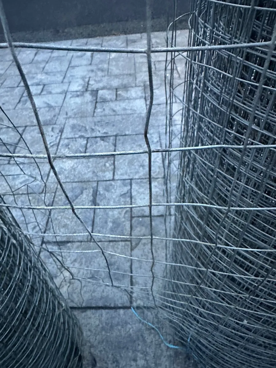 Welded Mesh Chicken Wire Fence - Image 2