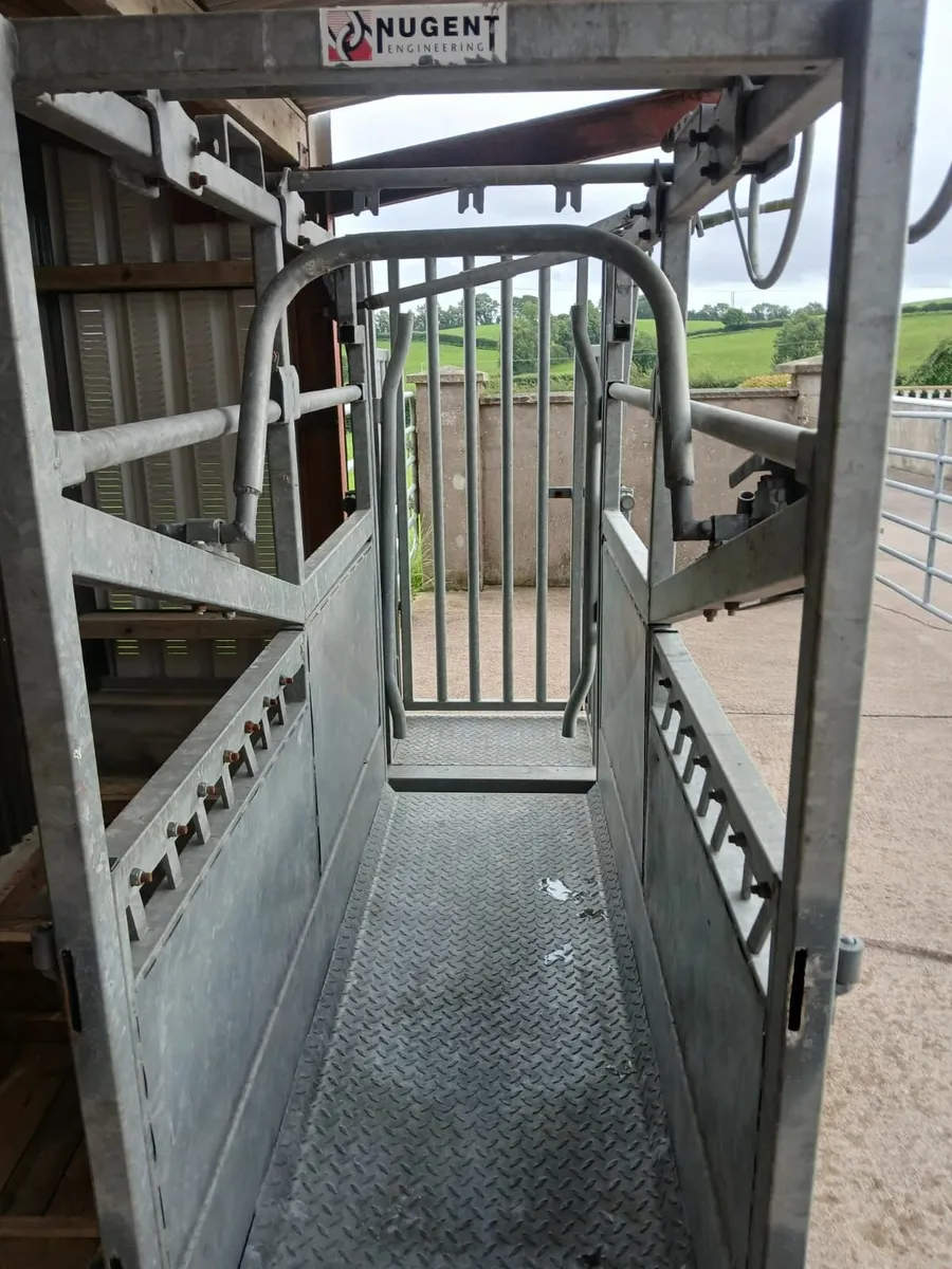 Nugent Cattle Crush - Image 1