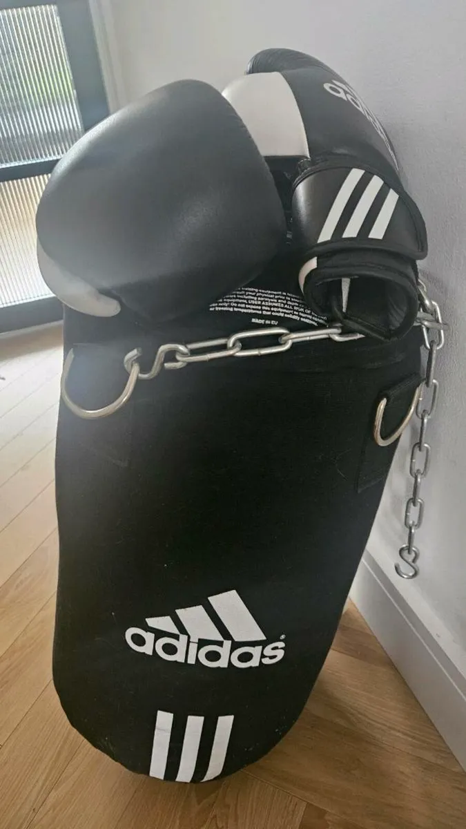 Punch bag and gloves junior