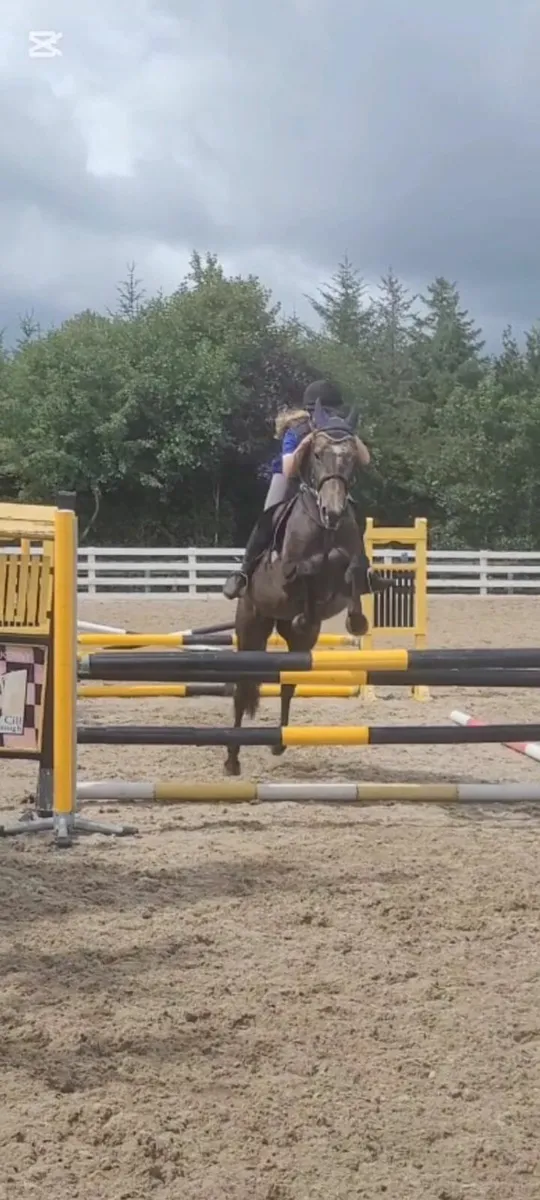 Horse - Image 4