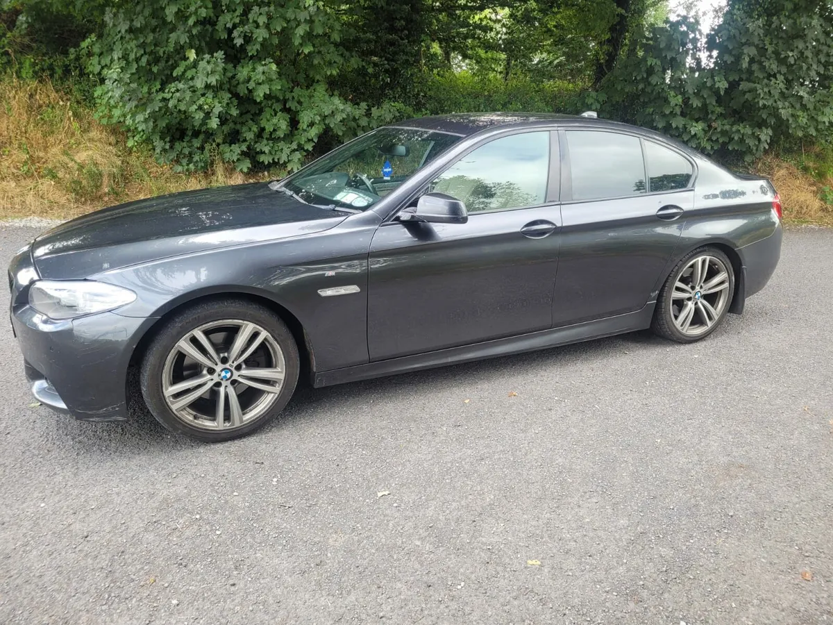 2013 520D M Sport. - Image 3