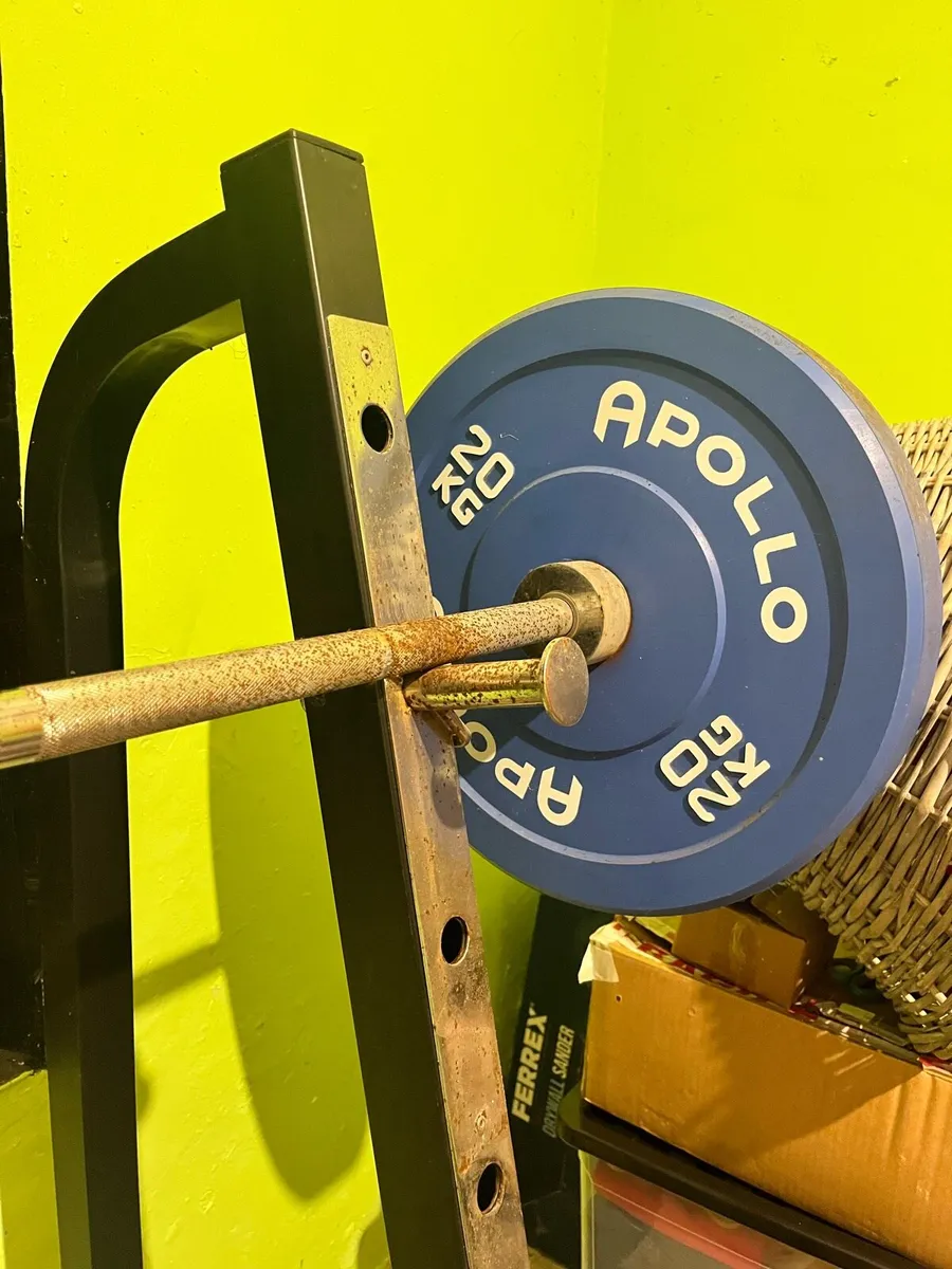 Gym plates and racks - Image 1