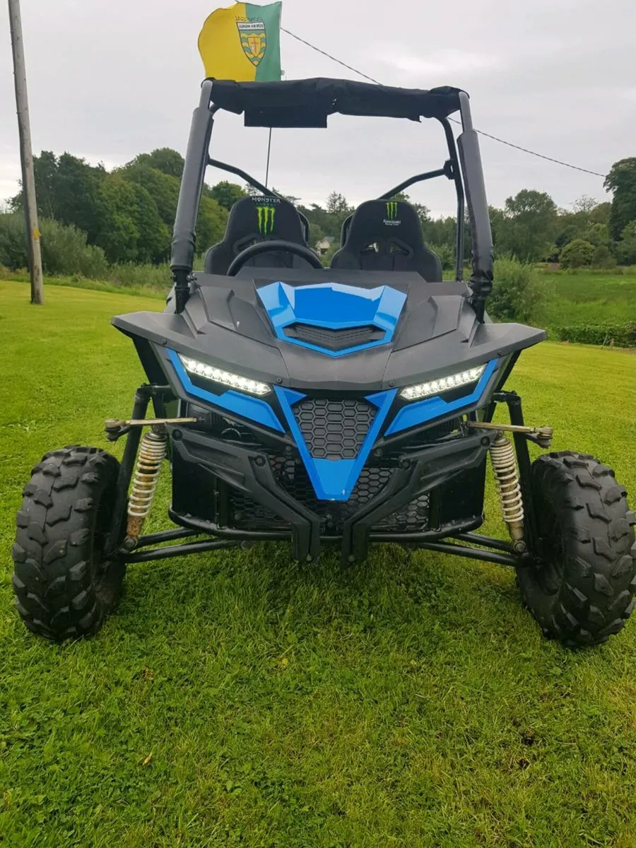 Quadzilla Stingray 210 buggy - Image 4