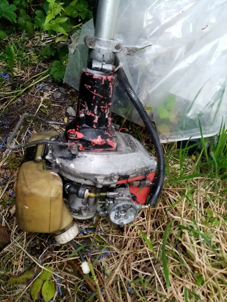 ...old strimmer needs fixing - Image 1