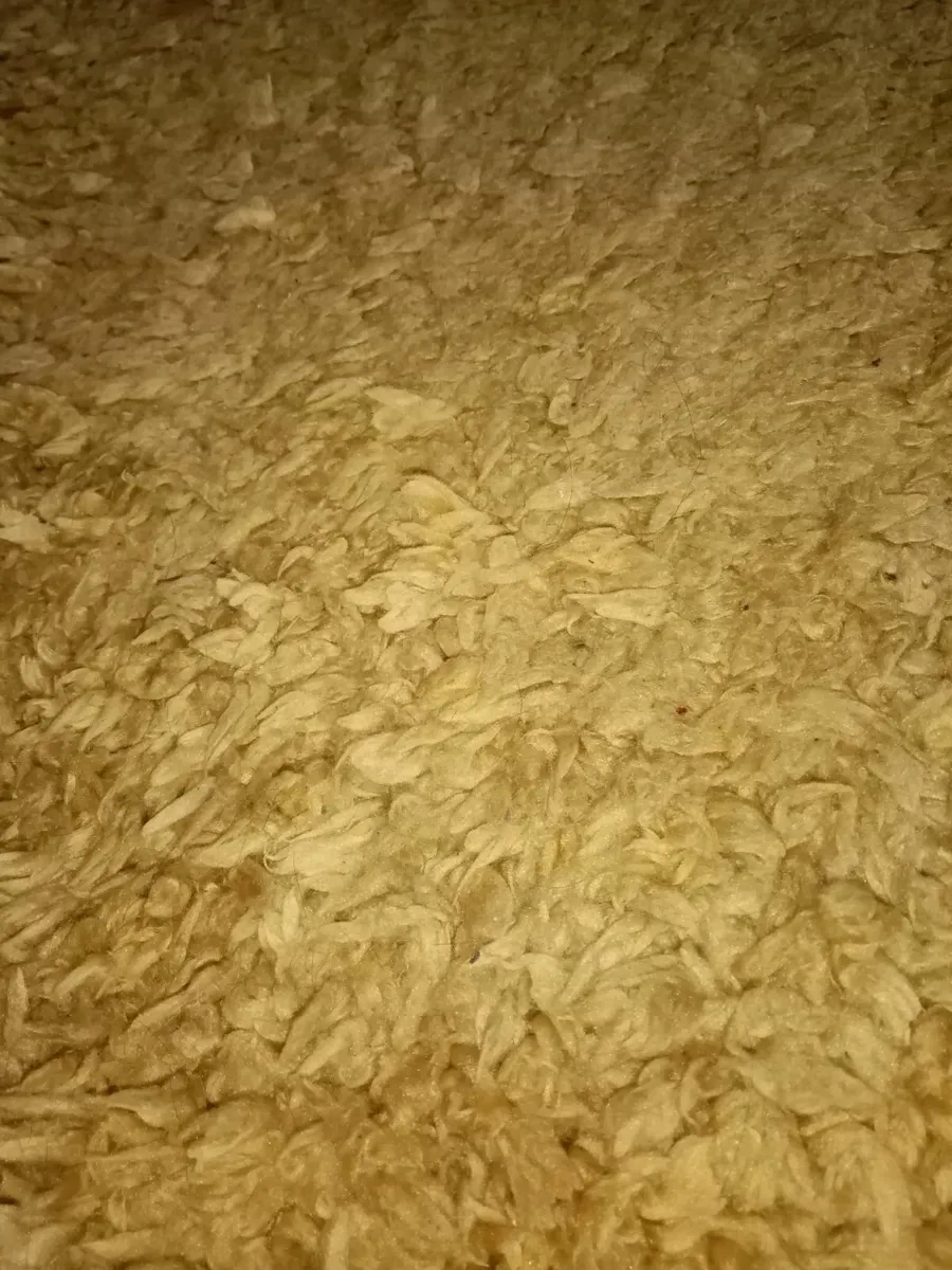 Gold rug - Image 3